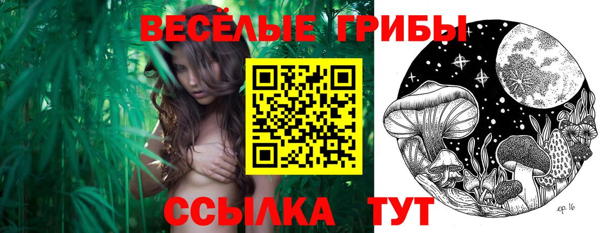 Галлюциногенные грибы Cubensis  Галлюциногенные грибы прущие грибы  Артём  Вход с VPN 