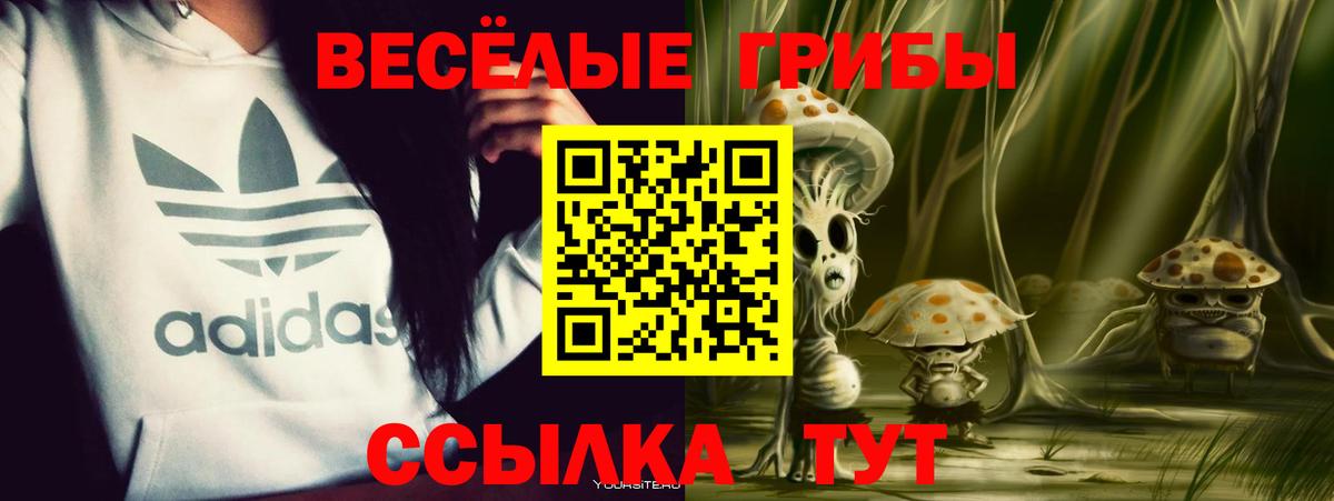 Галлюциногенные грибы мицелий Артём